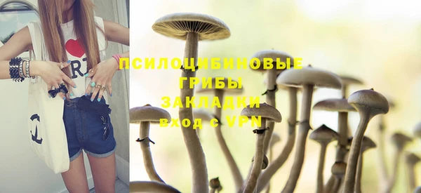 Альфа ПВП Бронницы