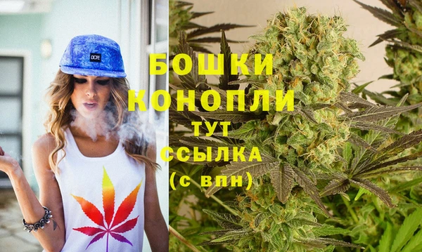 круглые Бородино